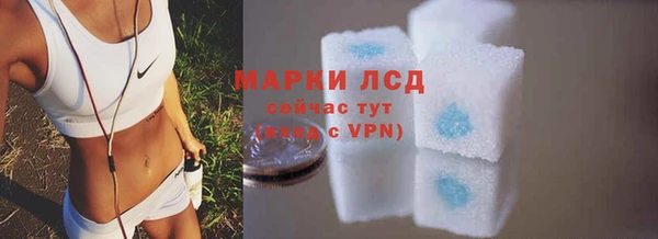 прущие грибы Зеленокумск