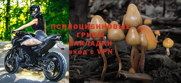 прущие грибы Зеленокумск