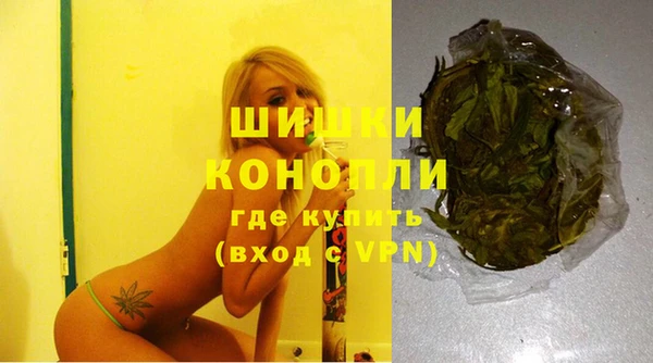прущие грибы Зеленокумск