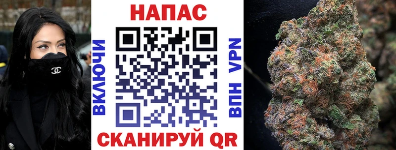 Шишки марихуана White Widow  Купить закладки  Новоалтайск 